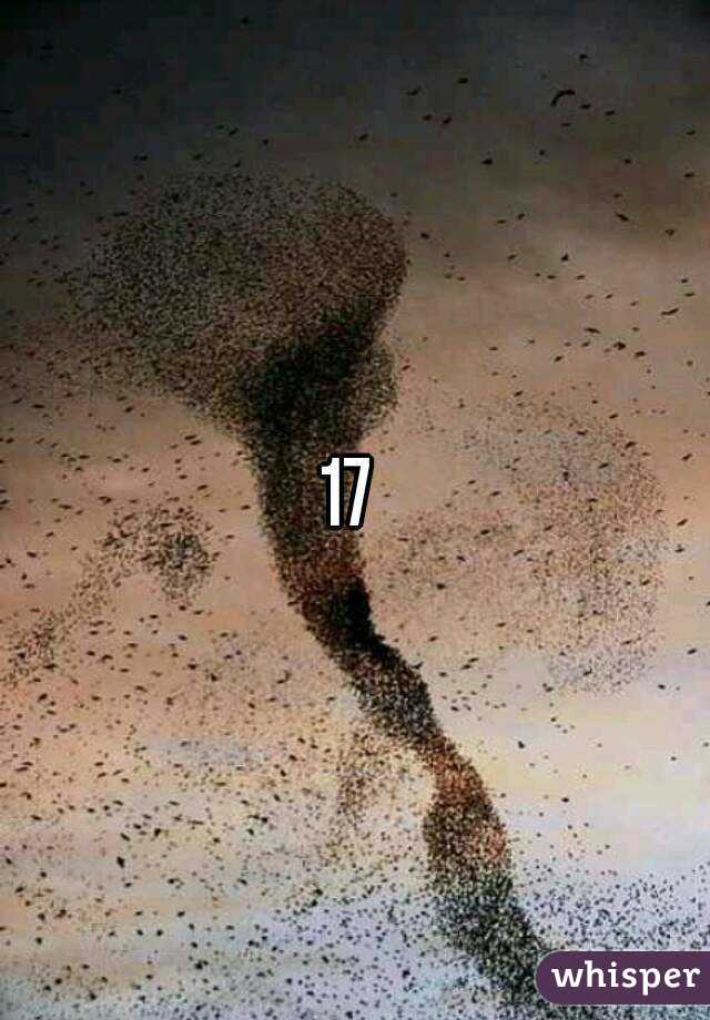17 