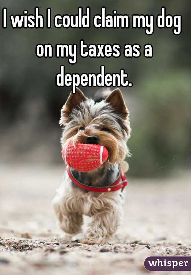 Can I claim my dog on my taxes?