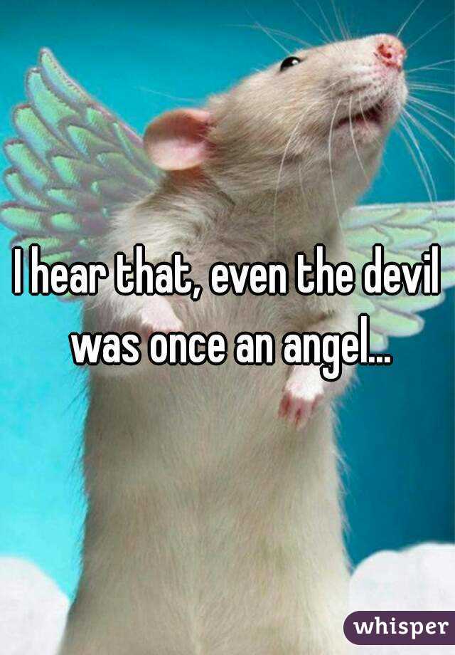 I hear that, even the devil was once an angel...