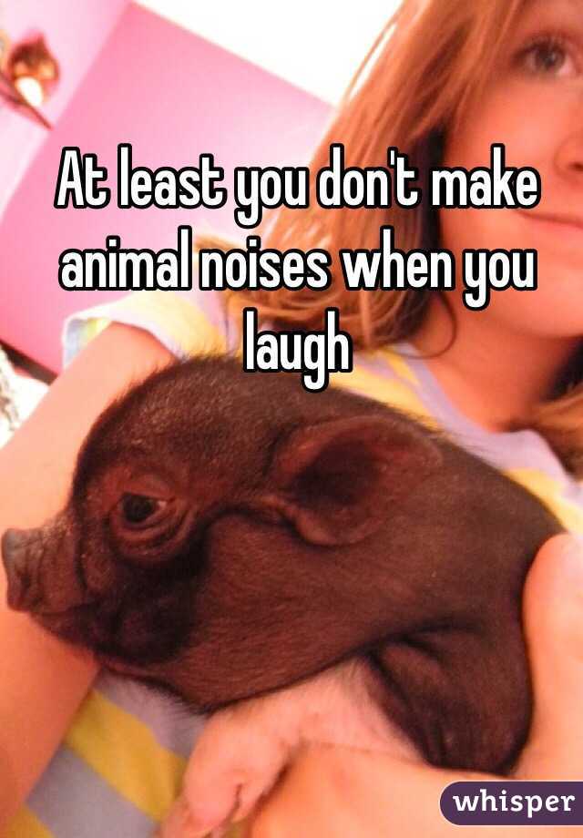 At least you don't make animal noises when you laugh 