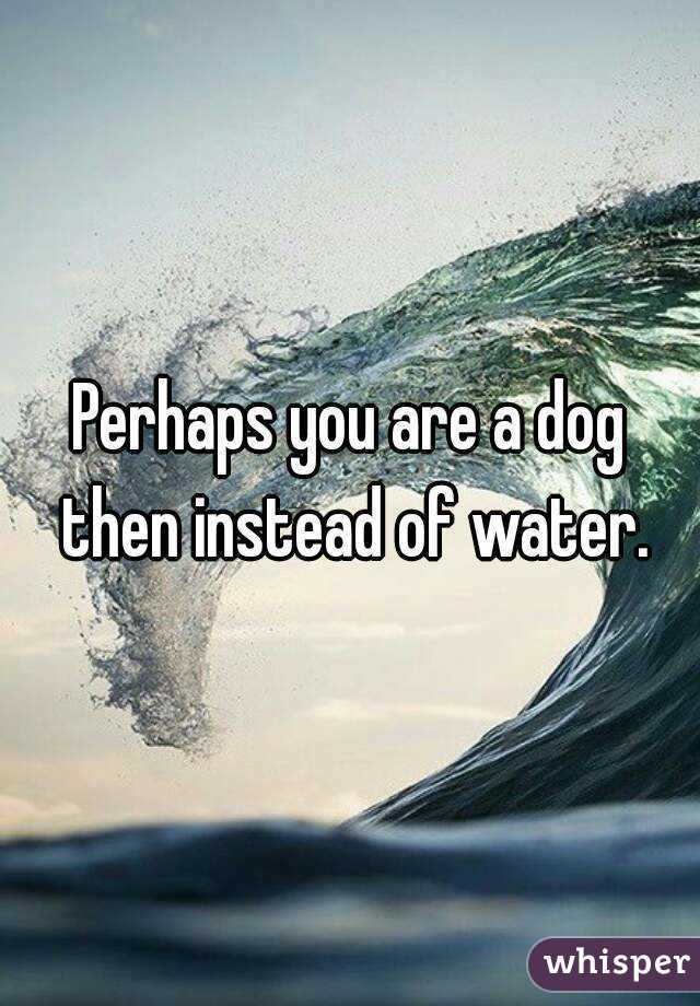 Perhaps you are a dog then instead of water.