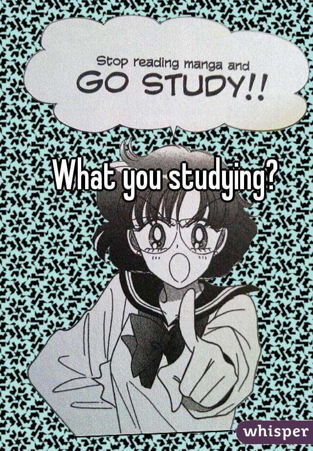 What you studying?