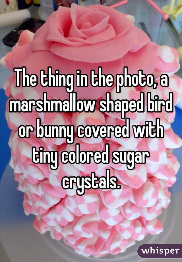 The thing in the photo, a marshmallow shaped bird or bunny covered with tiny colored sugar crystals.