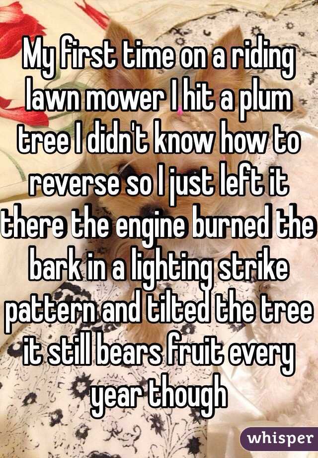My first time on a riding lawn mower I hit a plum tree I didn't know how to reverse so I just left it there the engine burned the bark in a lighting strike pattern and tilted the tree it still bears fruit every year though 