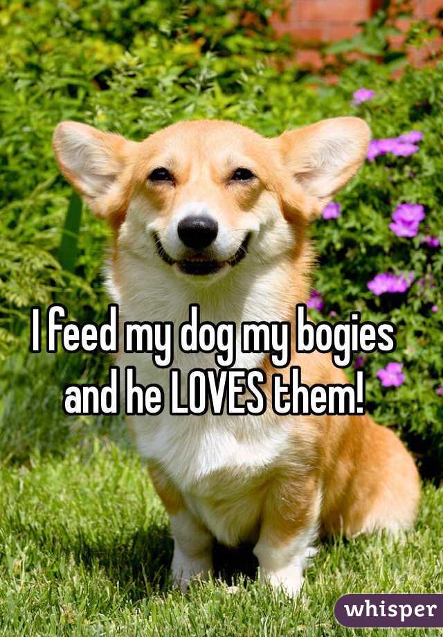 I feed my dog my bogies and he LOVES them!
