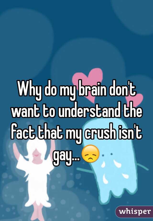 Why do my brain don't want to understand the fact that my crush isn't gay...😞