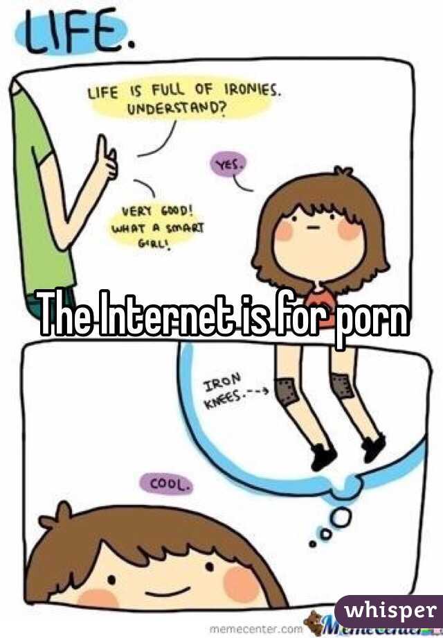 The Internet is for porn