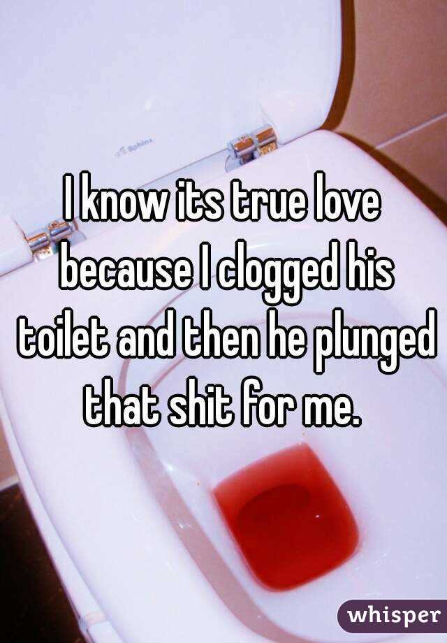 I know its true love because I clogged his toilet and then he plunged that shit for me. 