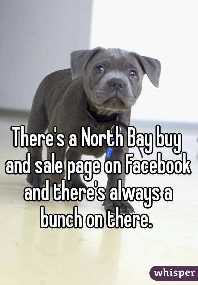 There's a North Bay buy and sale page on Facebook and there's always a bunch on there. 
