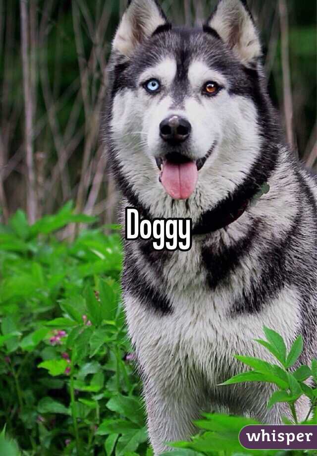 Doggy 