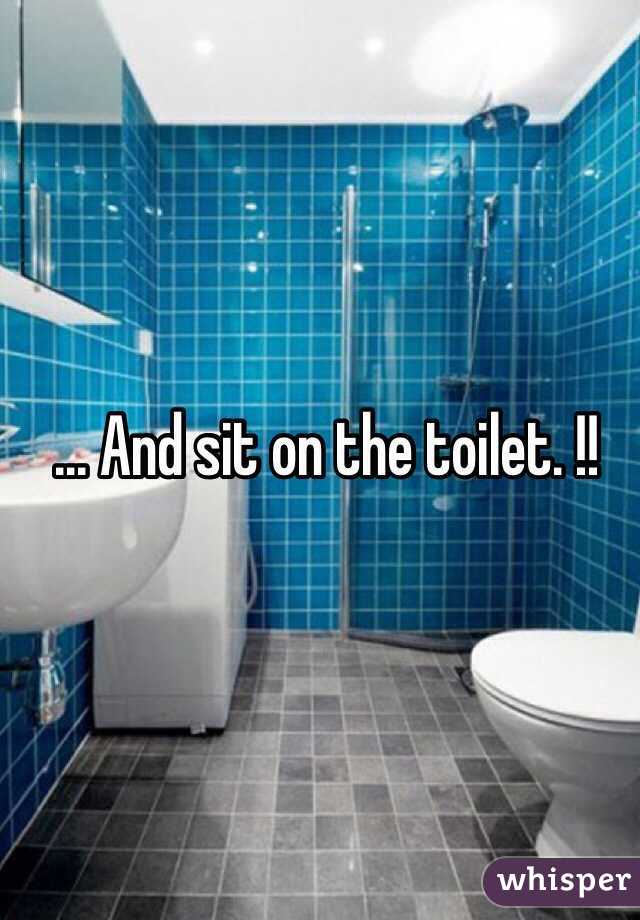  ... And sit on the toilet. !!