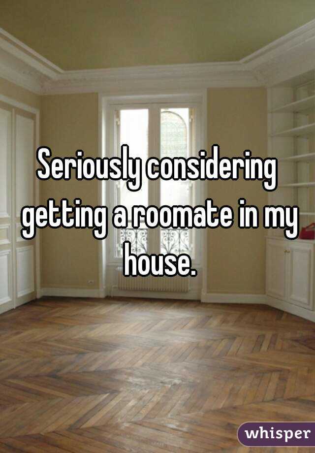 Seriously considering getting a roomate in my house.
