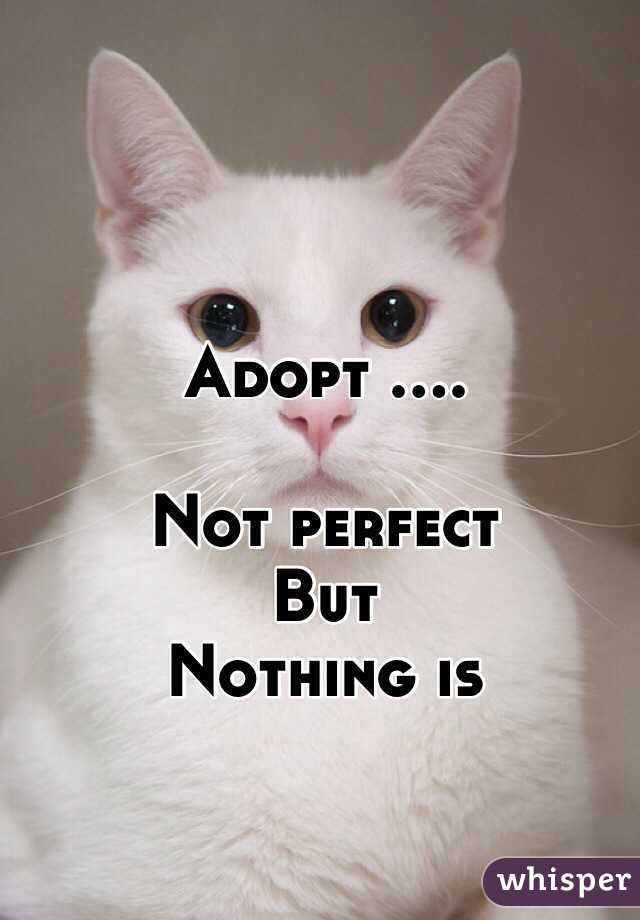 Adopt ....

Not perfect 
But
Nothing is