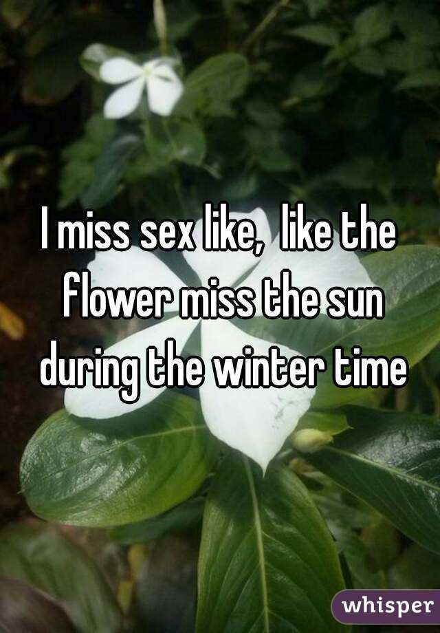 I miss sex like,  like the flower miss the sun during the winter time
