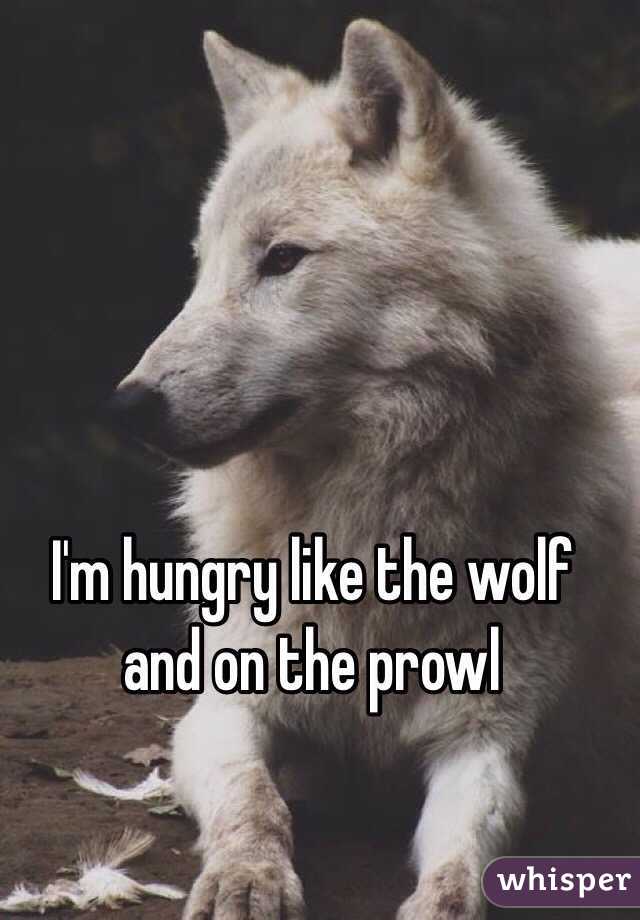 I'm hungry like the wolf and on the prowl
