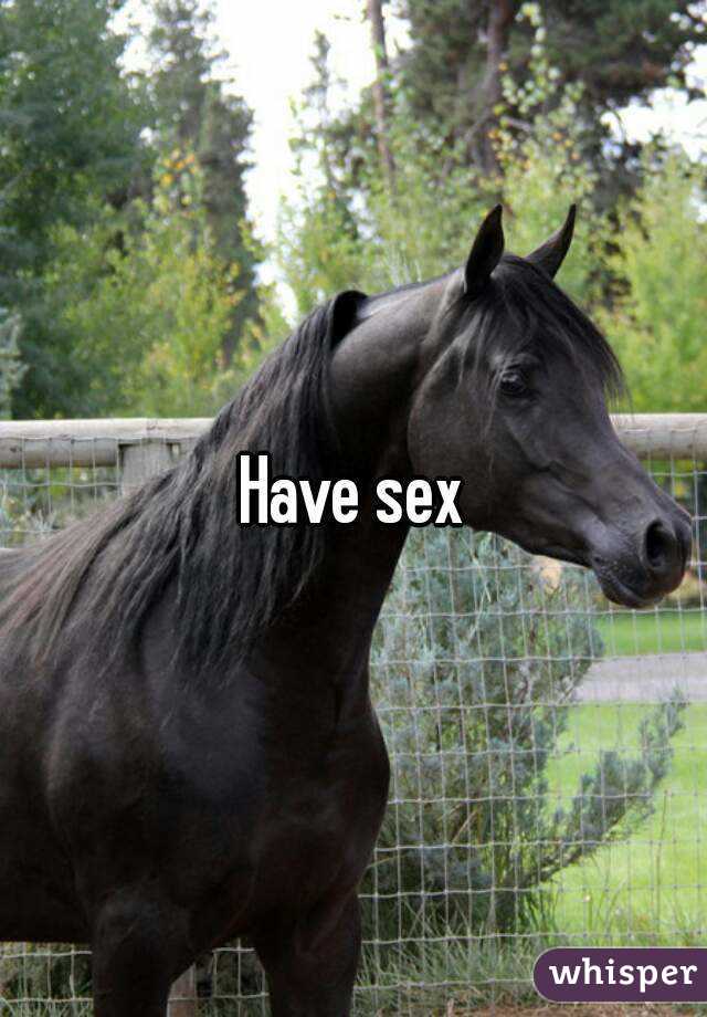 Have sex
