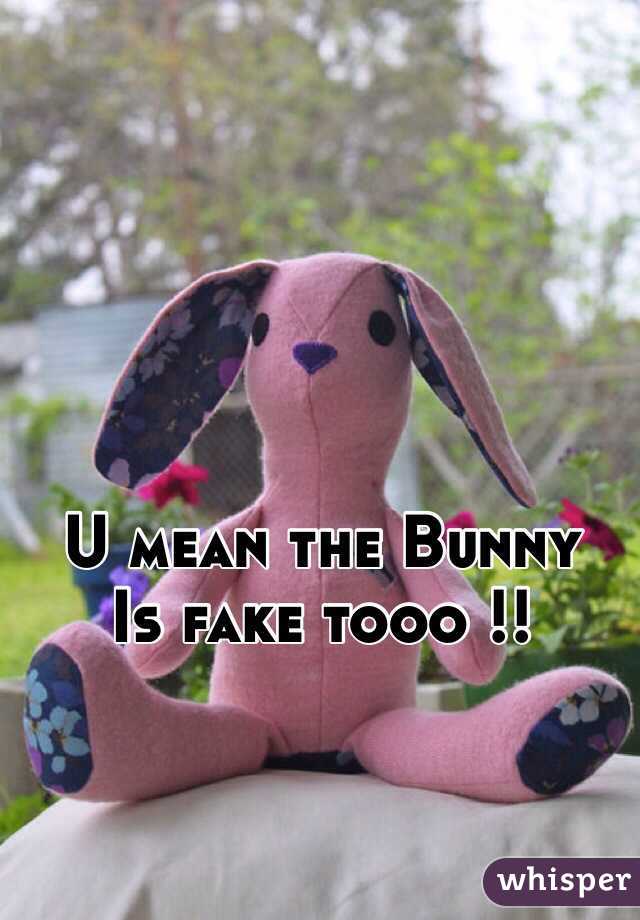 U mean the Bunny 
Is fake tooo !!