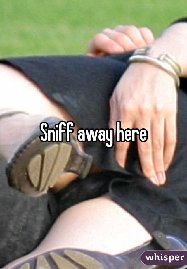 Sniff away here
