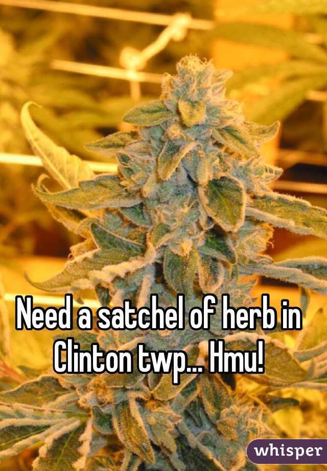 Need a satchel of herb in Clinton twp... Hmu!