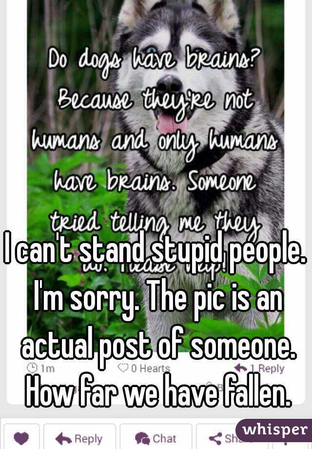 I can't stand stupid people. I'm sorry. The pic is an actual post of someone. How far we have fallen.