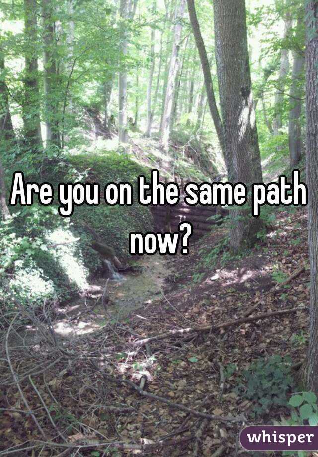 Are you on the same path now?