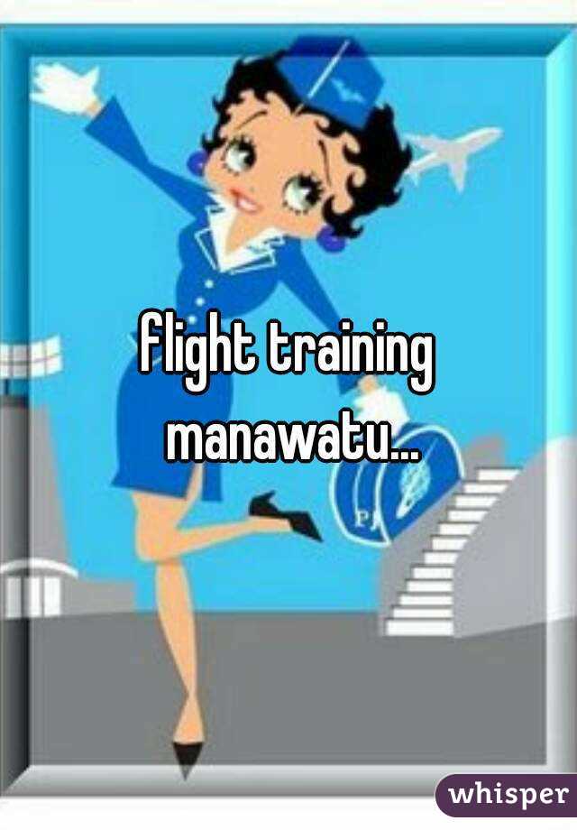 flight training manawatu...