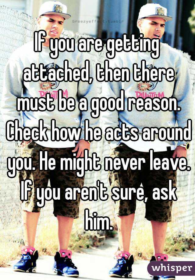 If you are getting attached, then there must be a good reason. Check how he acts around you. He might never leave. If you aren't sure, ask him.