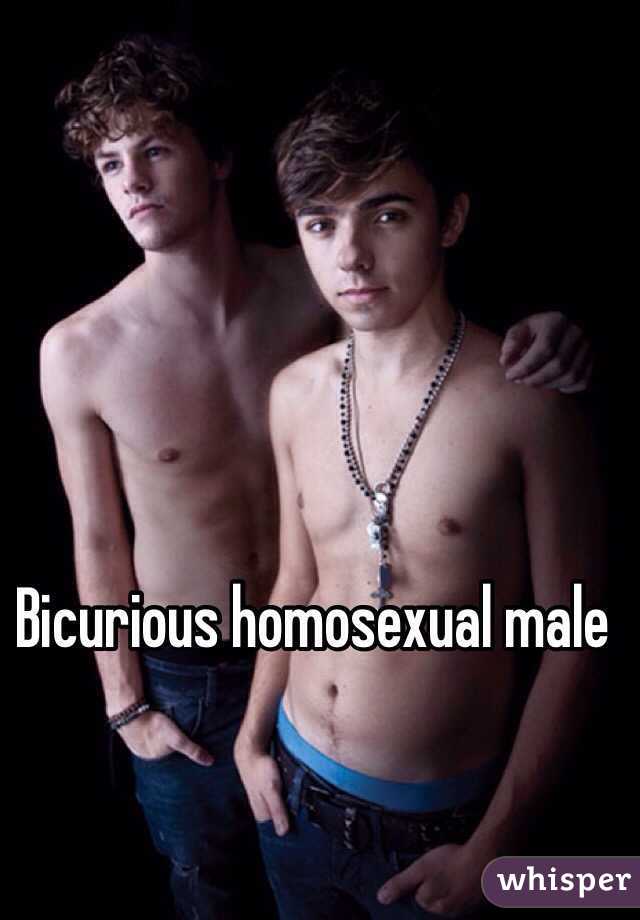 Bicurious homosexual male