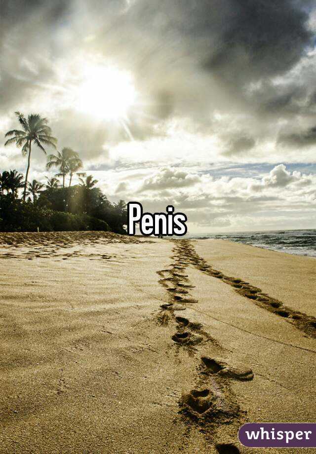 Penis