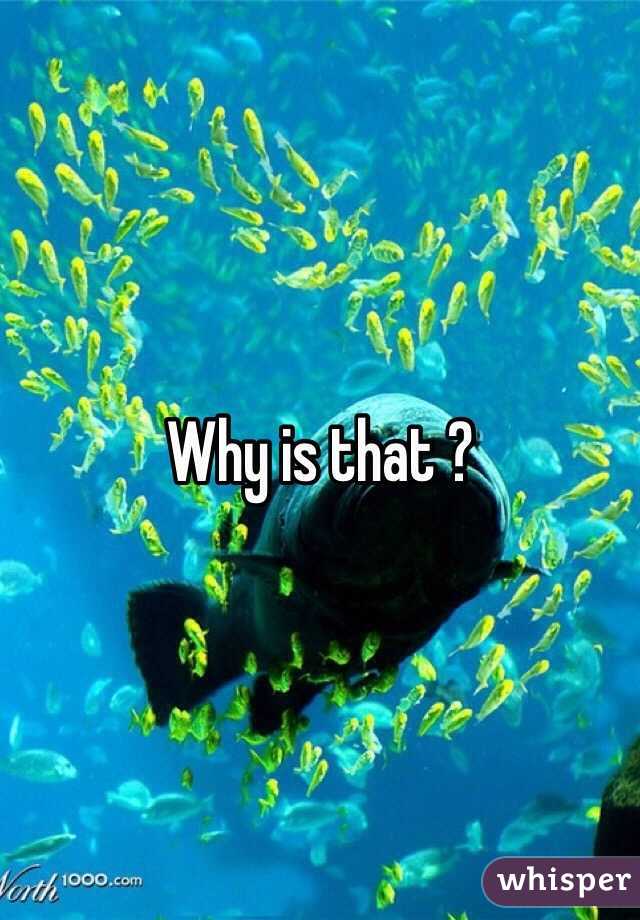 Why is that ?