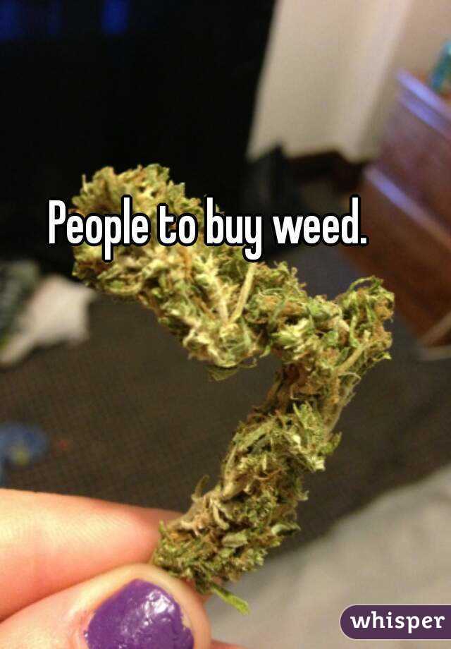 People to buy weed.