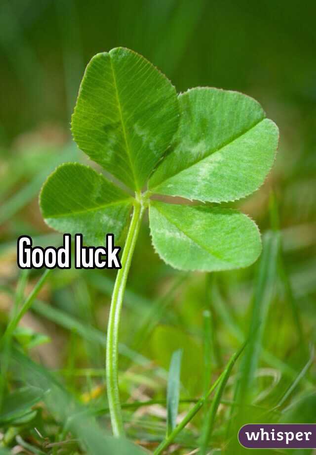 Good luck
