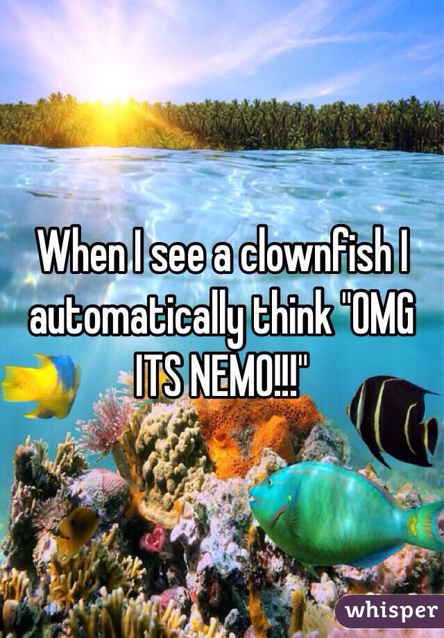 When I see a clownfish I automatically think "OMG ITS NEMO!!!"