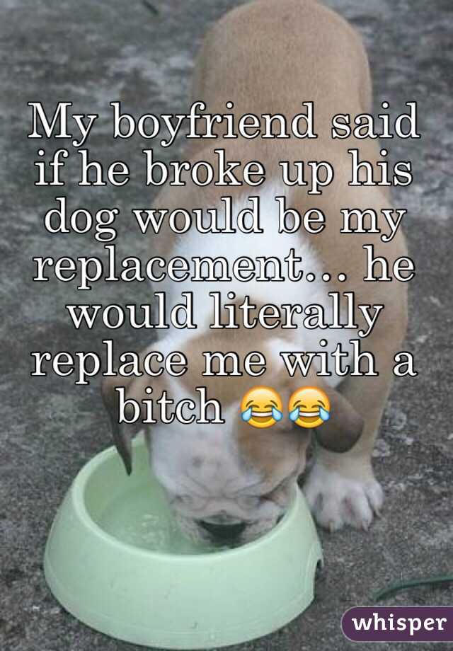 My boyfriend said if he broke up his dog would be my replacement… he would literally replace me with a bitch 😂😂