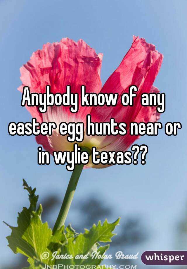 Anybody know of any easter egg hunts near or in wylie texas?? 