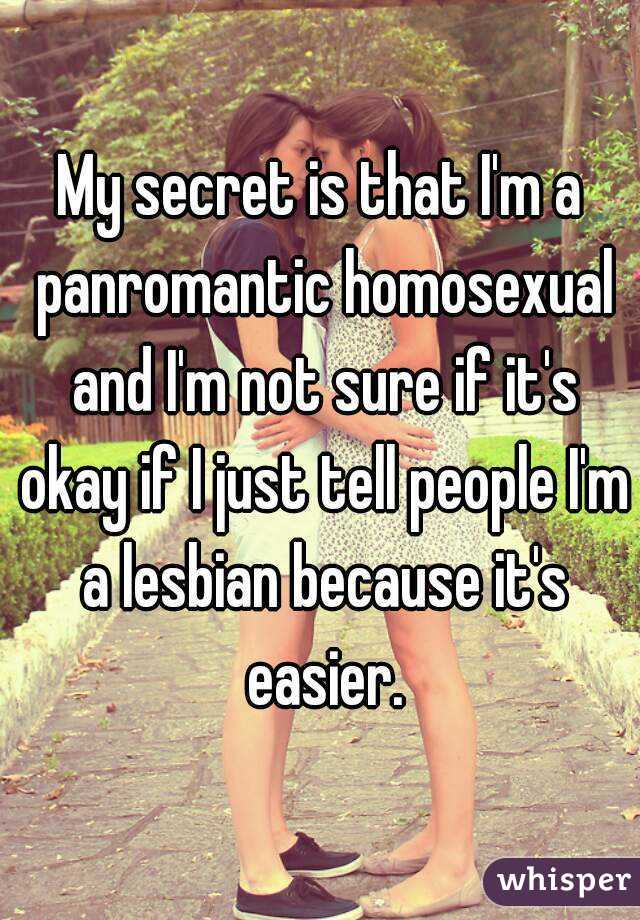 My secret is that I'm a panromantic homosexual and I'm not sure if it's okay if I just tell people I'm a lesbian because it's easier.