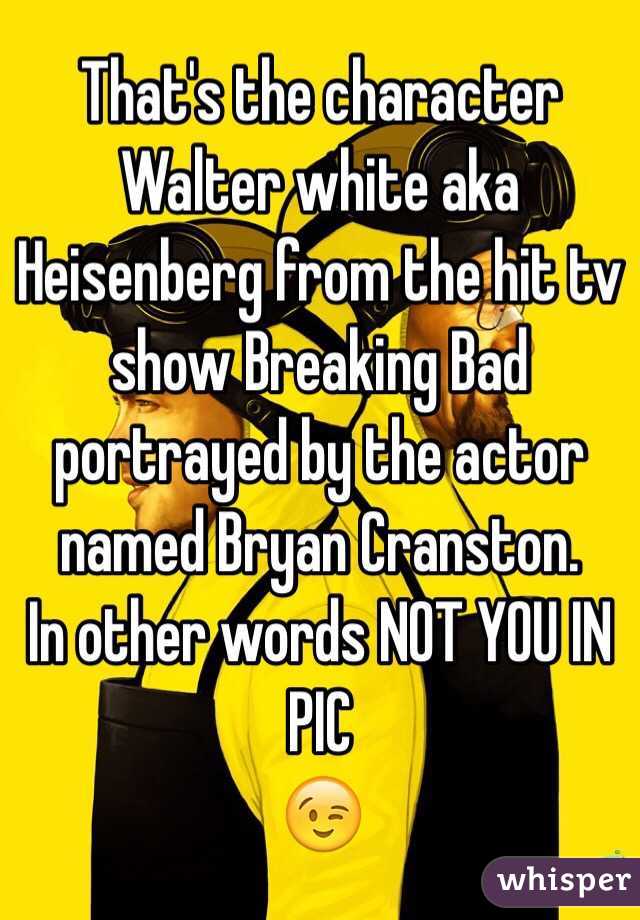 That's the character Walter white aka Heisenberg from the hit tv show Breaking Bad portrayed by the actor named Bryan Cranston.
In other words NOT YOU IN PIC
😉