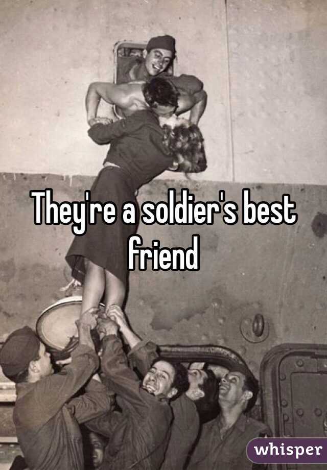 They're a soldier's best friend