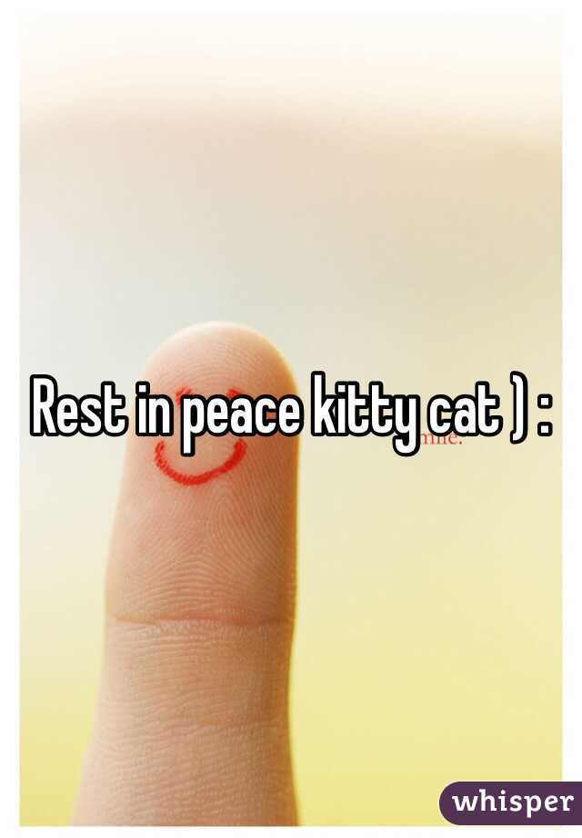 Rest in peace kitty cat ) :