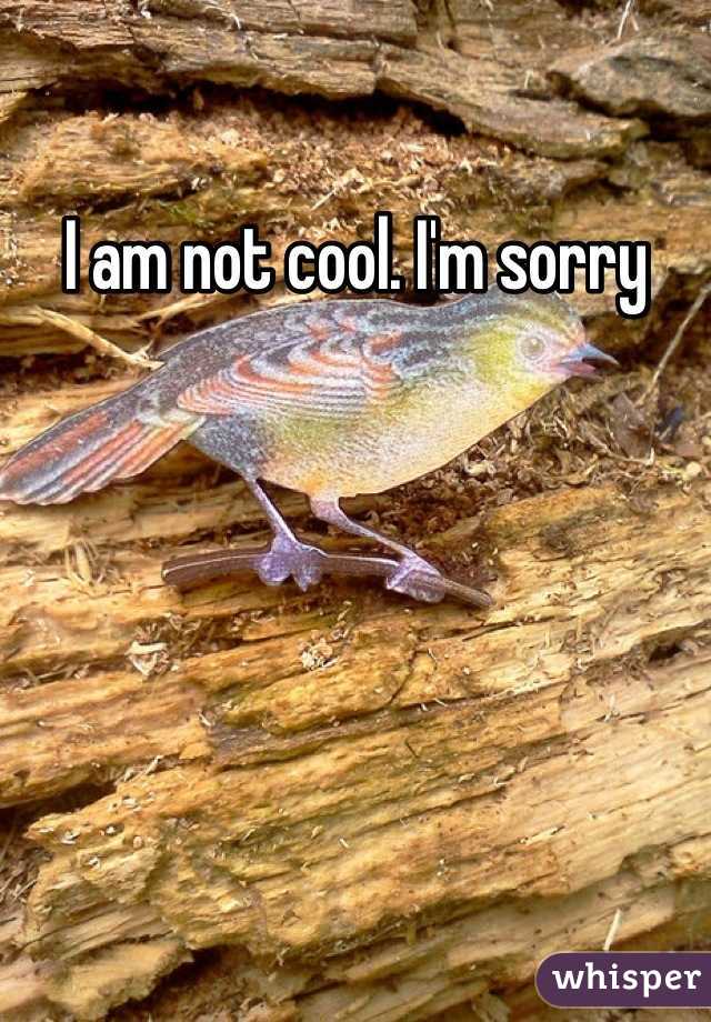 I am not cool. I'm sorry