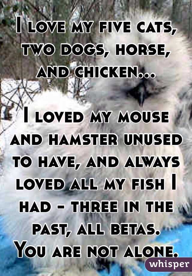 I love my five cats, two dogs, horse, and chicken...

I loved my mouse and hamster unused to have, and always loved all my fish I had - three in the past, all betas.
You are not alone.