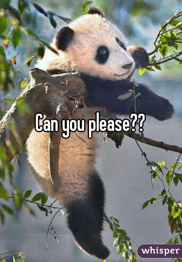 Can you please??
