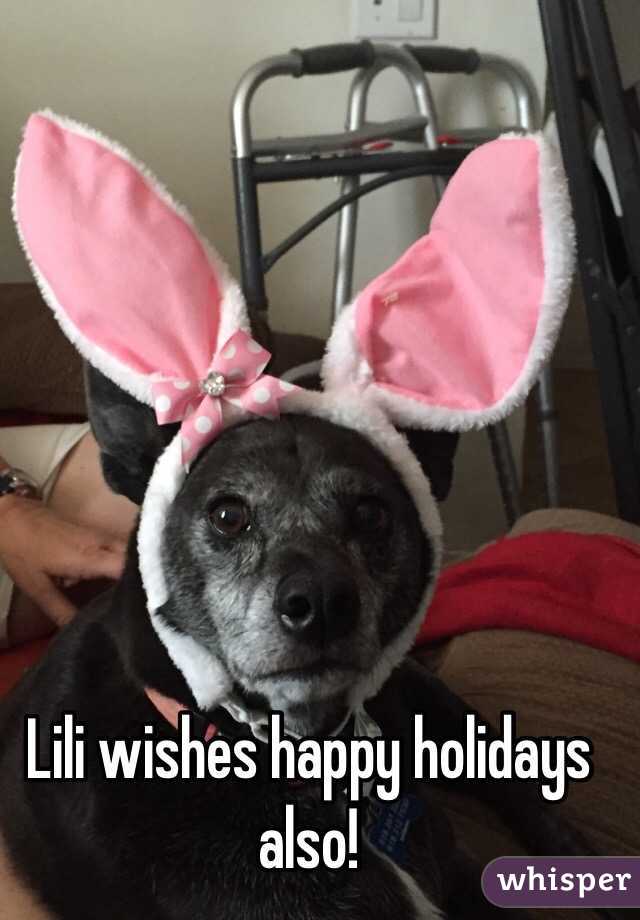 Lili wishes happy holidays also!