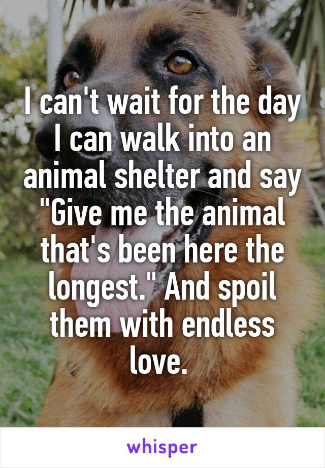 I can't wait for the day I can walk into an animal shelter and say "Give me the animal that's been here the longest." And spoil them with endless love. 