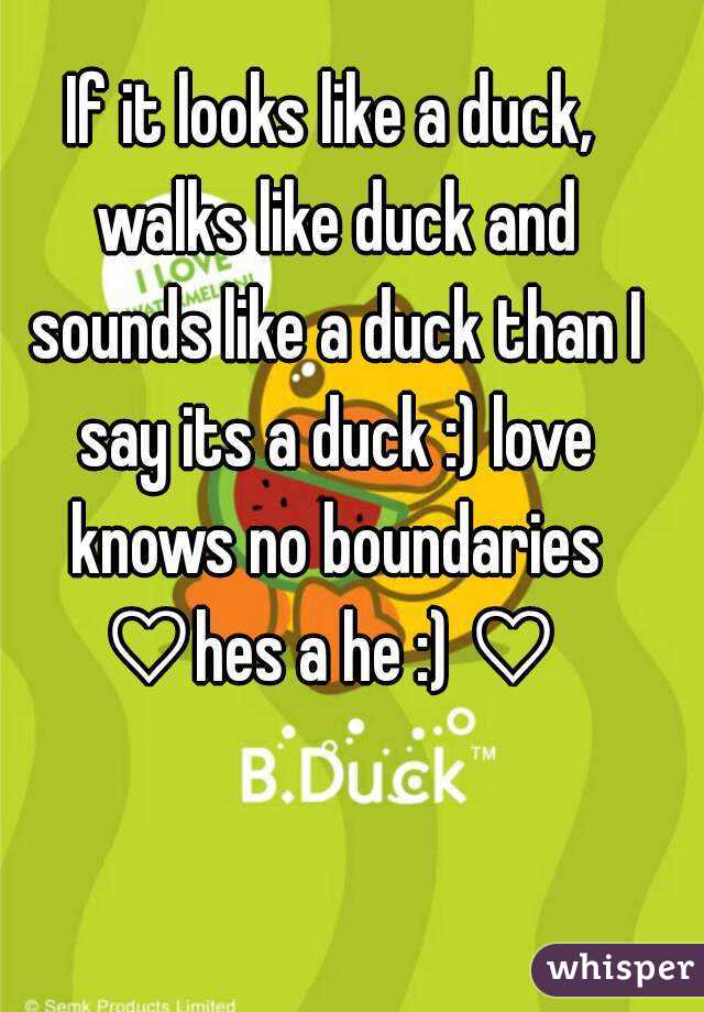 If it looks like a duck, walks like duck and sounds like a duck than I say its a duck :) love knows no boundaries ♡hes a he :) ♡ 