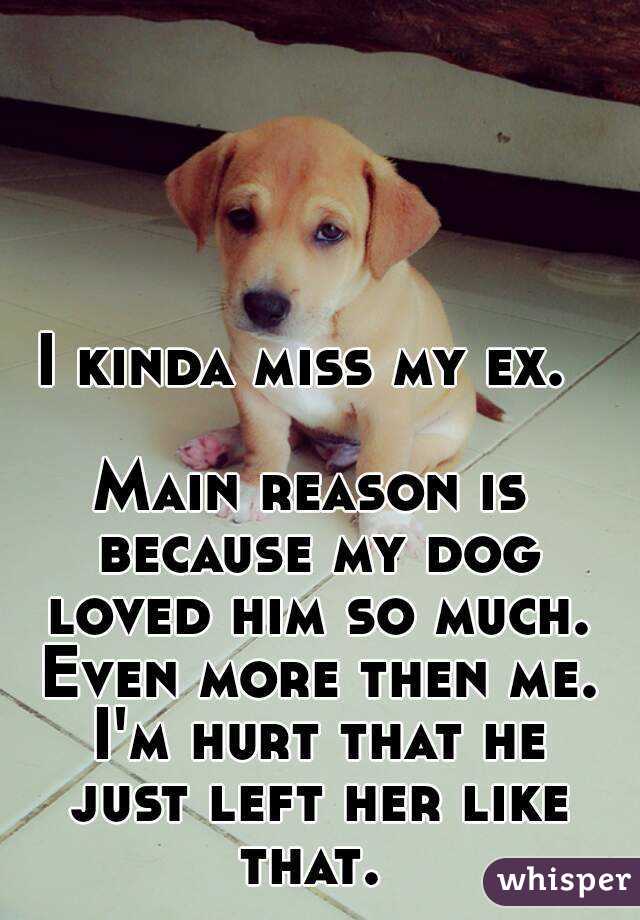 Doggy my ex M