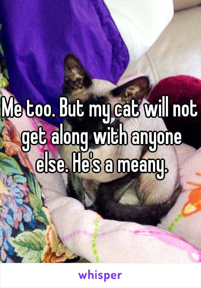 Me too. But my cat will not get along with anyone else. He's a meany.