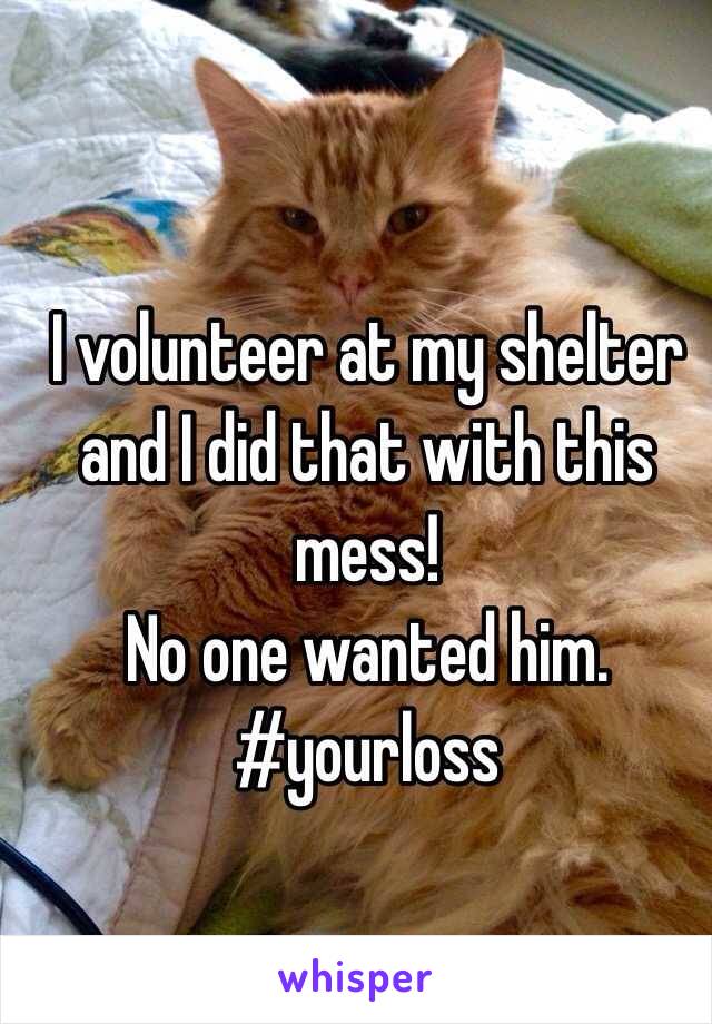 I volunteer at my shelter and I did that with this mess! 
No one wanted him. 
#yourloss