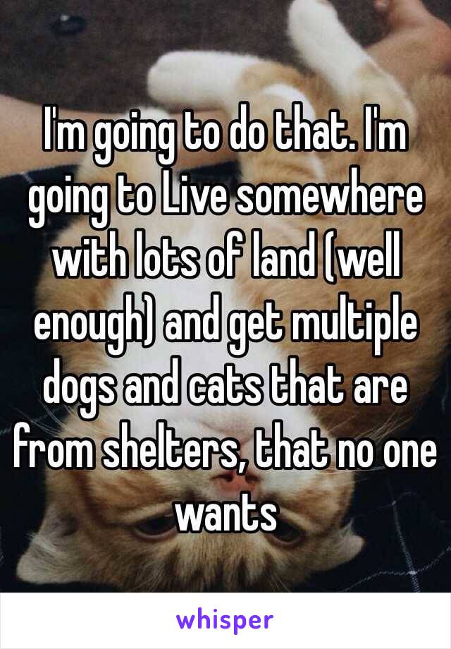 I'm going to do that. I'm going to Live somewhere with lots of land (well enough) and get multiple dogs and cats that are from shelters, that no one wants
