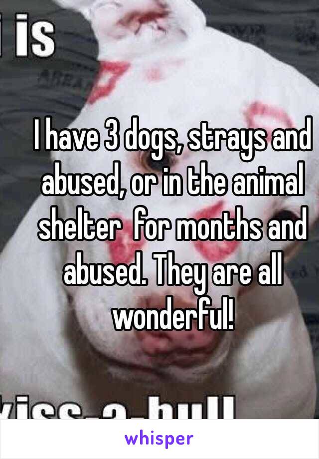 I have 3 dogs, strays and abused, or in the animal shelter  for months and abused. They are all wonderful!
